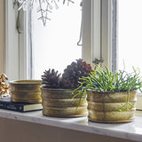 Lucilla Iron Christmas Plant Pots in worn gold, ribbed round design, shown on a marble windowsill holding pinecones and trailing greenery.