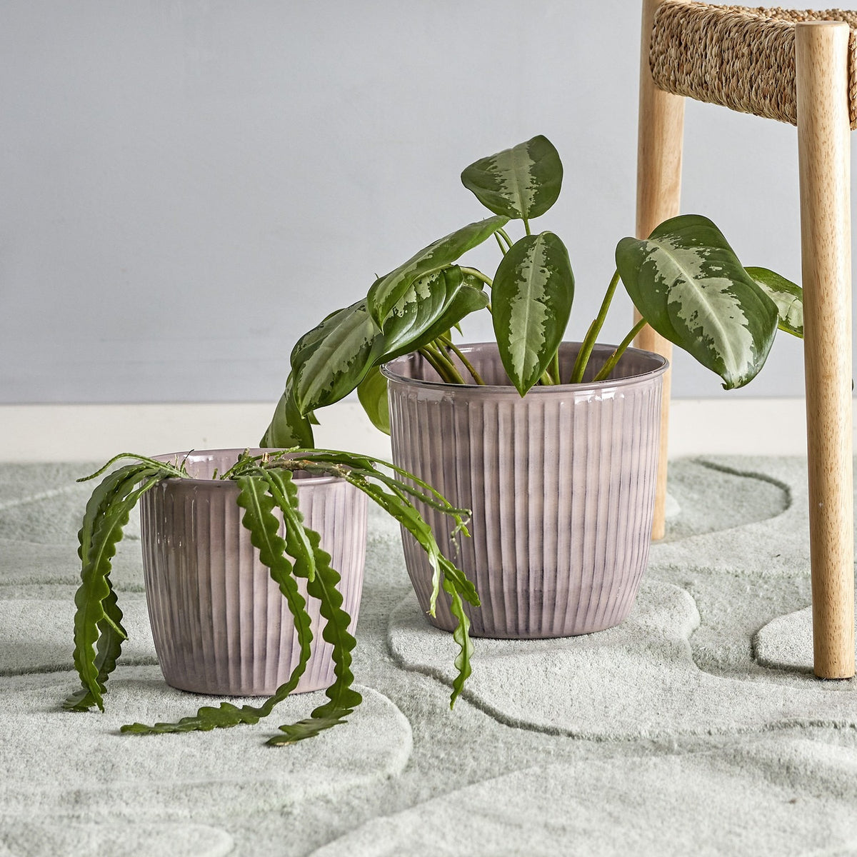 Kenzie Ribbed Iron Plant Pots Set of 2 in brown with vertical ribbing and rolled rims, shown holding green foliage plants on a grey rug.