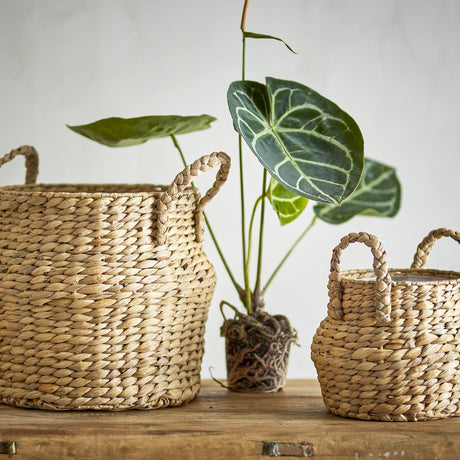 Bjorn Water Hyacinth Baskets in natural braided finish, large and small round storage baskets with woven handles, shown with a potted plant against a light background.