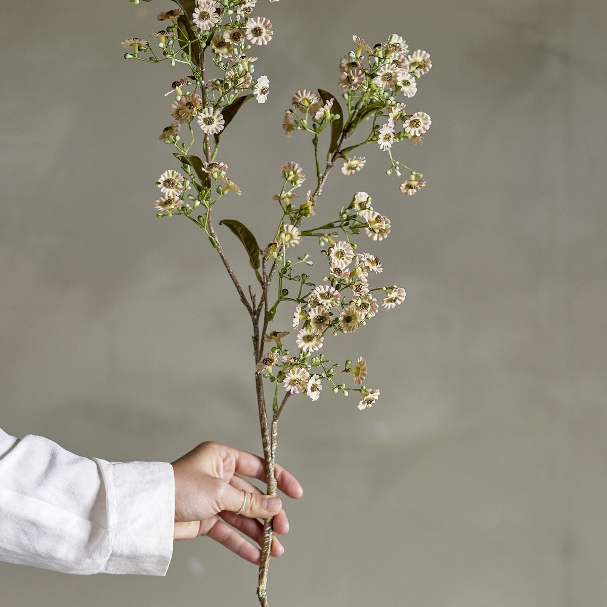 Waxflower Artificial Stem - White