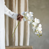 Orchid Artificial Stem 94cm - White