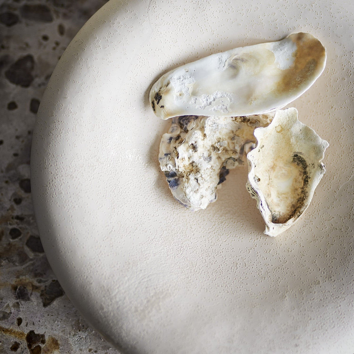 Audra Pebble Stoneware Bowl 30cm in White, a wide, low ceramic bowl with a speckled white glaze and irregular pebble-like rim, shown with shell pieces on the textured surface.
