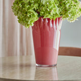 Janine Fluted Glass Vase 30cm in pink with wavy, frilled rim and tapered glass body, shown with green hydrangeas on a round table against soft pink curtains.