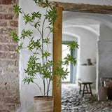 Palmatum Artificial Plant - Green