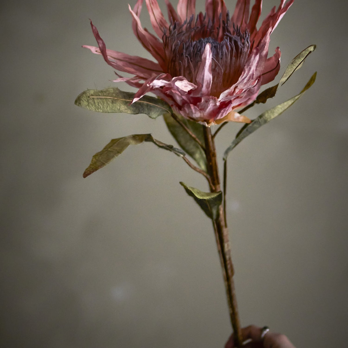 Protea Artificial Stem - Pink
