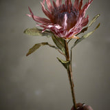 Protea Artificial Stem - Pink