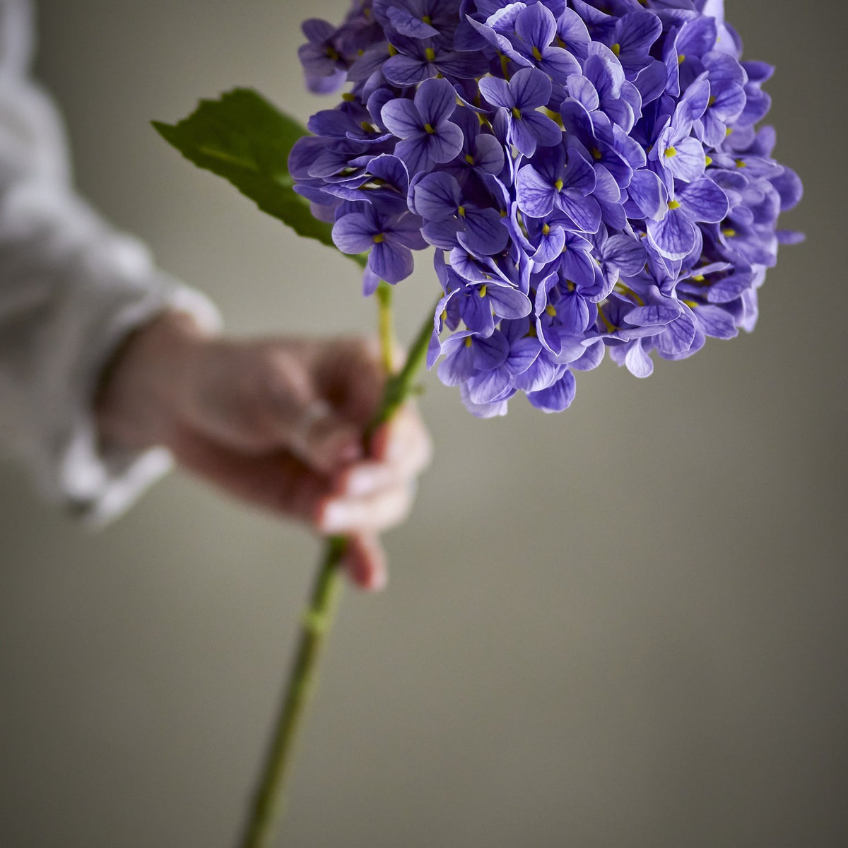 Hand holding the Hydrangea Artificial Stem 73cm in purple, showing a rounded faux flowerhead with veined petals, a broad leaf, and a long green stem.
