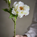 Peony Artificial Stem - Cream