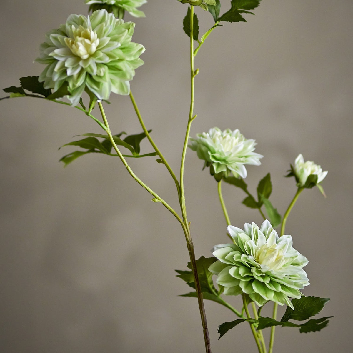 Chrysanthemum Artificial Stem in green, showing layered blooms and a closed bud on a branching stem with serrated, veined leaves against a neutral background.