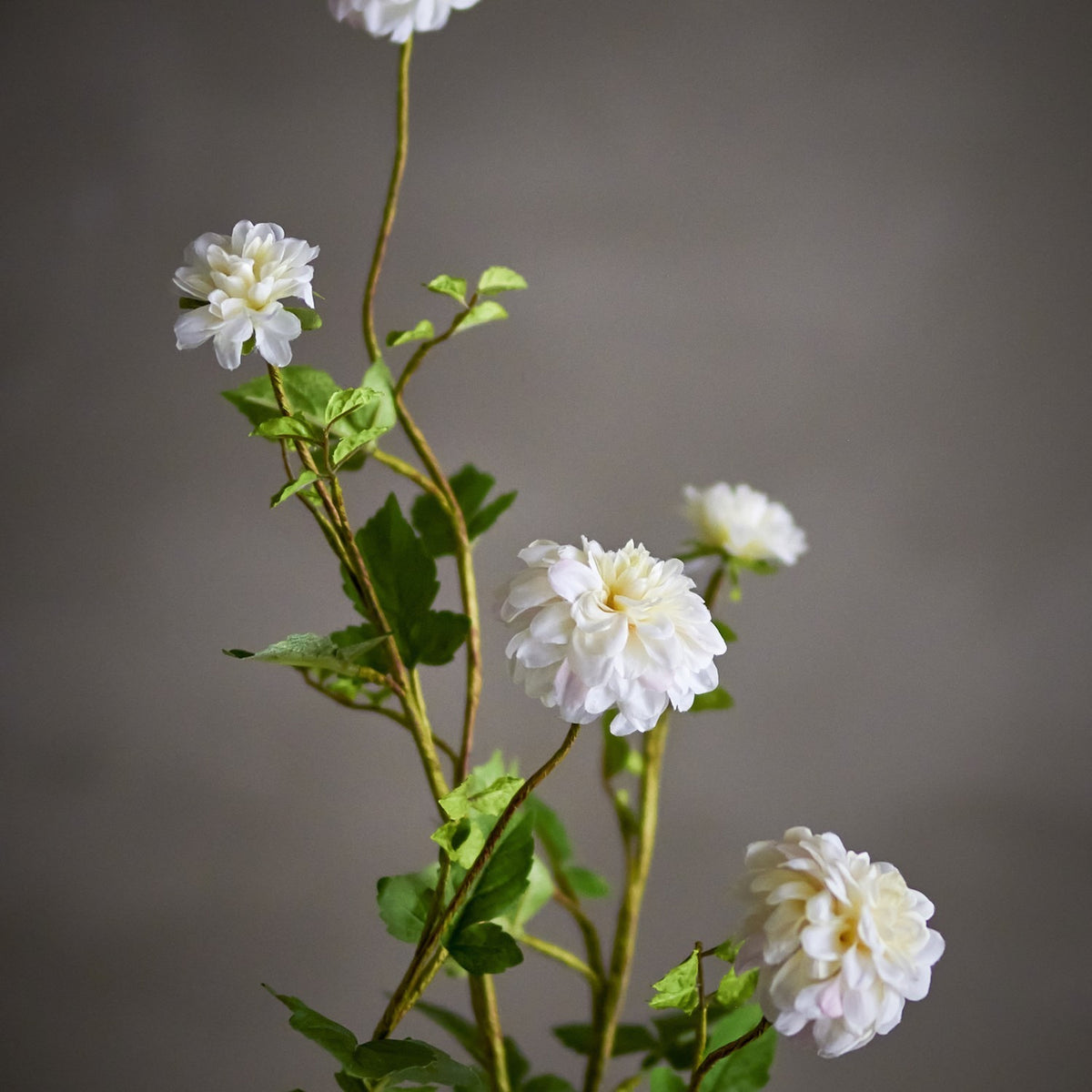 Artificial chrysanthemum stem, 101cm, with five white layered flowerheads and green leaves on branching stems, shown against a plain grey background.