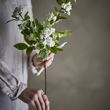 Snowberry Artificial Christmas Stem in White held by hand, showing frosted green leaves and clustered white berries on a slender branch against a neutral background.