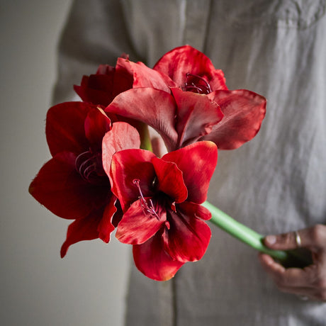 Amaryllis Artificial Christmas Stem - Red