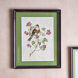 Renji Wooden Framed Print 50cm showing a songbird on a flowering branch, green mount, slim dark wood frame, hung on a pink wall.
