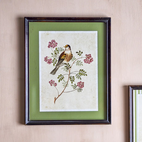 Renji Wooden Framed Print 50cm showing a songbird on a flowering branch, green mount, slim dark wood frame, hung on a pink wall.