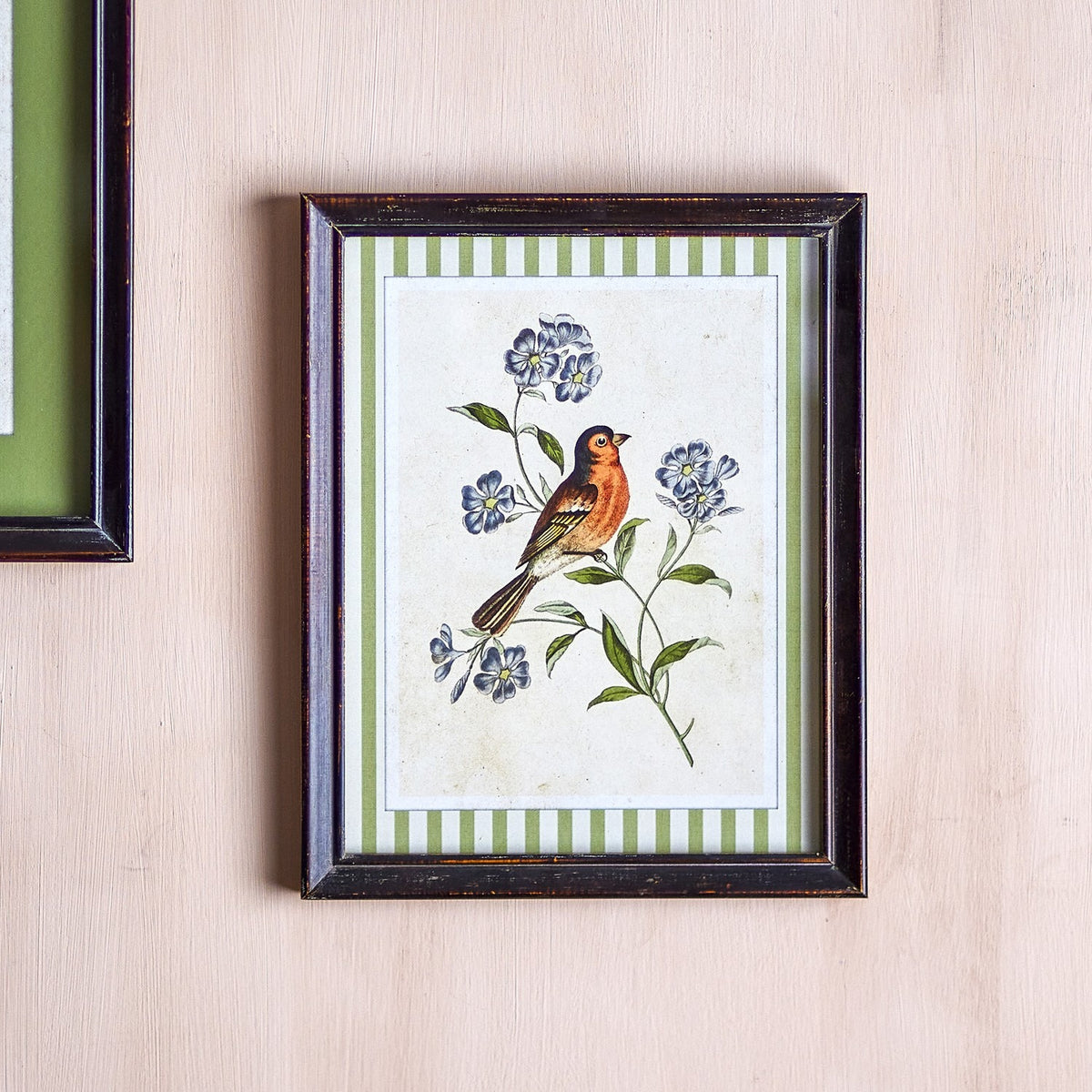 Renji Wooden Framed Print 35.5cm in multicoloured, depicting a songbird on a flowering branch with green striped border, in a firwood frame with glass front, hung on a light wall.