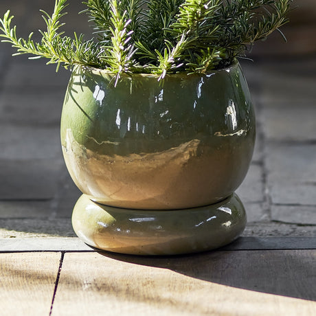 Imke Stoneware Plant Pot with Saucer in Green, round rounded ceramic body with glossy reactive glaze fading from deep green to beige, planted with rosemary on a stone floor.