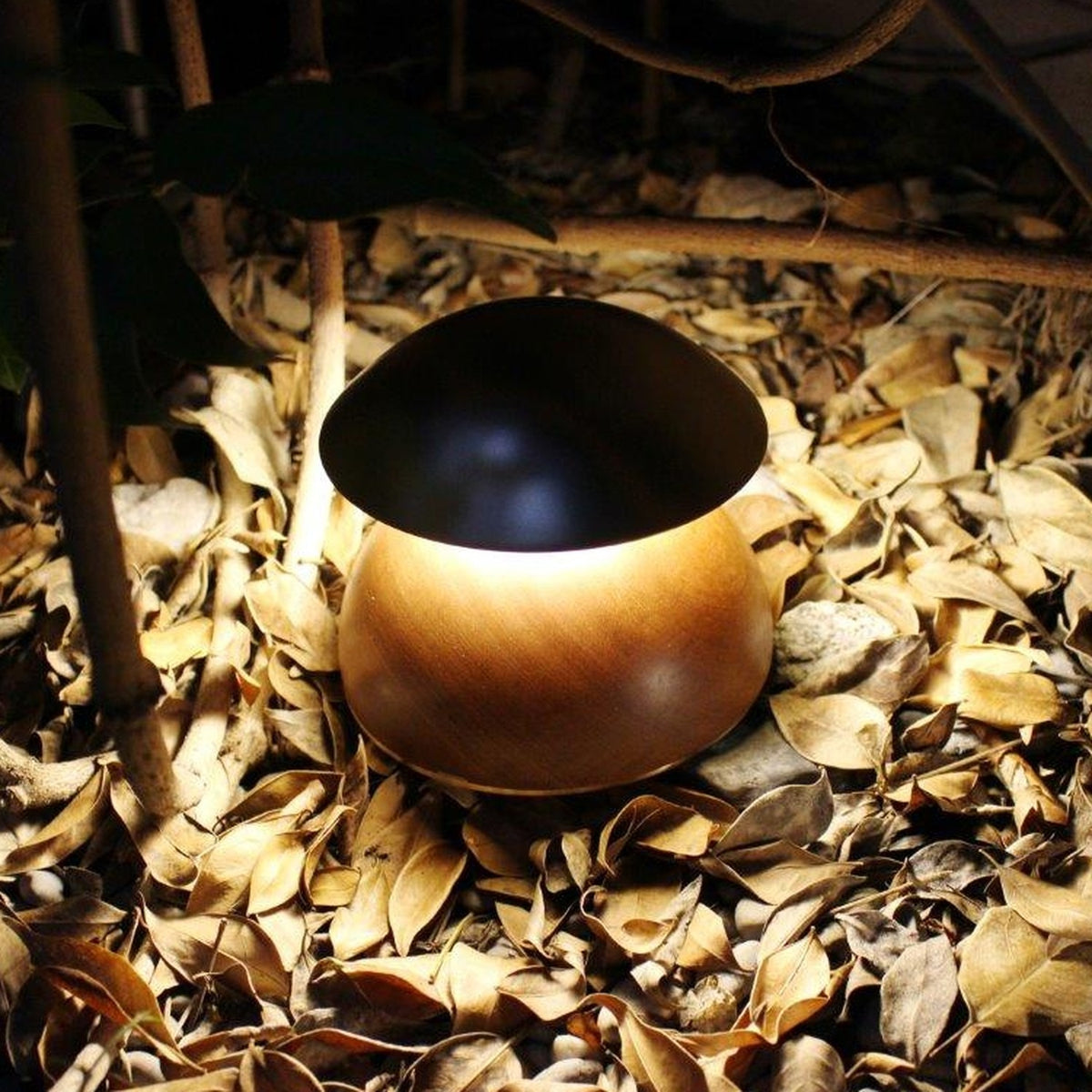 Bell LED Wooden Rechargeable Outdoor Table Lamp with domed black metal shade on a rounded wooden base, glowing warm white, set outdoors among dried leaves.