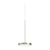 Dip Disc LED Pendant Light in brushed champagne finish, a slim round disc shade on a thin suspension rod, shown against a plain white background.