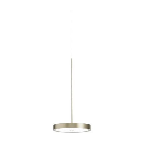 Dip Disc LED Pendant Light in brushed champagne finish, a slim round disc shade on a thin suspension rod, shown against a plain white background.