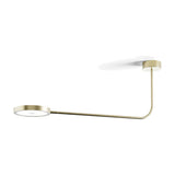 Dip Disc LED ceiling light in Brushed Champagne, with a round ceiling mount, slim curved arm and flat disc head, shown on a plain white background.