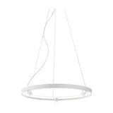 Arena Aluminium Ring LED Pendant Light 98cm in white, a slim circular fitting with integrated LED strip lighting and three small spot heads, suspended on fine wires against a plain white background.
