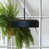 Rea Dome Pendant Light in matt black aluminium, a wide dome shade on a black textile cable, shown hanging above a fern plant indoors.