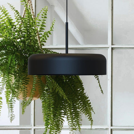 Rea Dome Pendant Light in matt black aluminium, a wide dome shade on a black textile cable, shown hanging above a fern plant indoors.