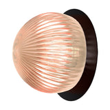 Roi Disc Ribbed Fumé Flush Wall & Ceiling Light in black, with a lit smoked ribbed glass dome set against a flat black disc backplate, on a white background.