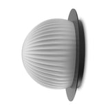 Roi Disc Ribbed Opal Flush Wall & Ceiling Light in black, side view showing a ribbed opal glass dome mounted on a flat black disc, set against a plain white background.