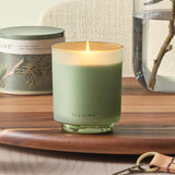 Hinoki Sage Boxed Glass Scented Candle