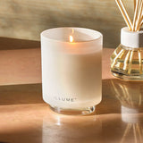 Driftwood Boxed Glass Scented Candle
