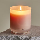 Coconut Milk Mango Boxed Glass Scented Candle