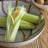 Heikki Stoneware Bowl 32cm - Multi