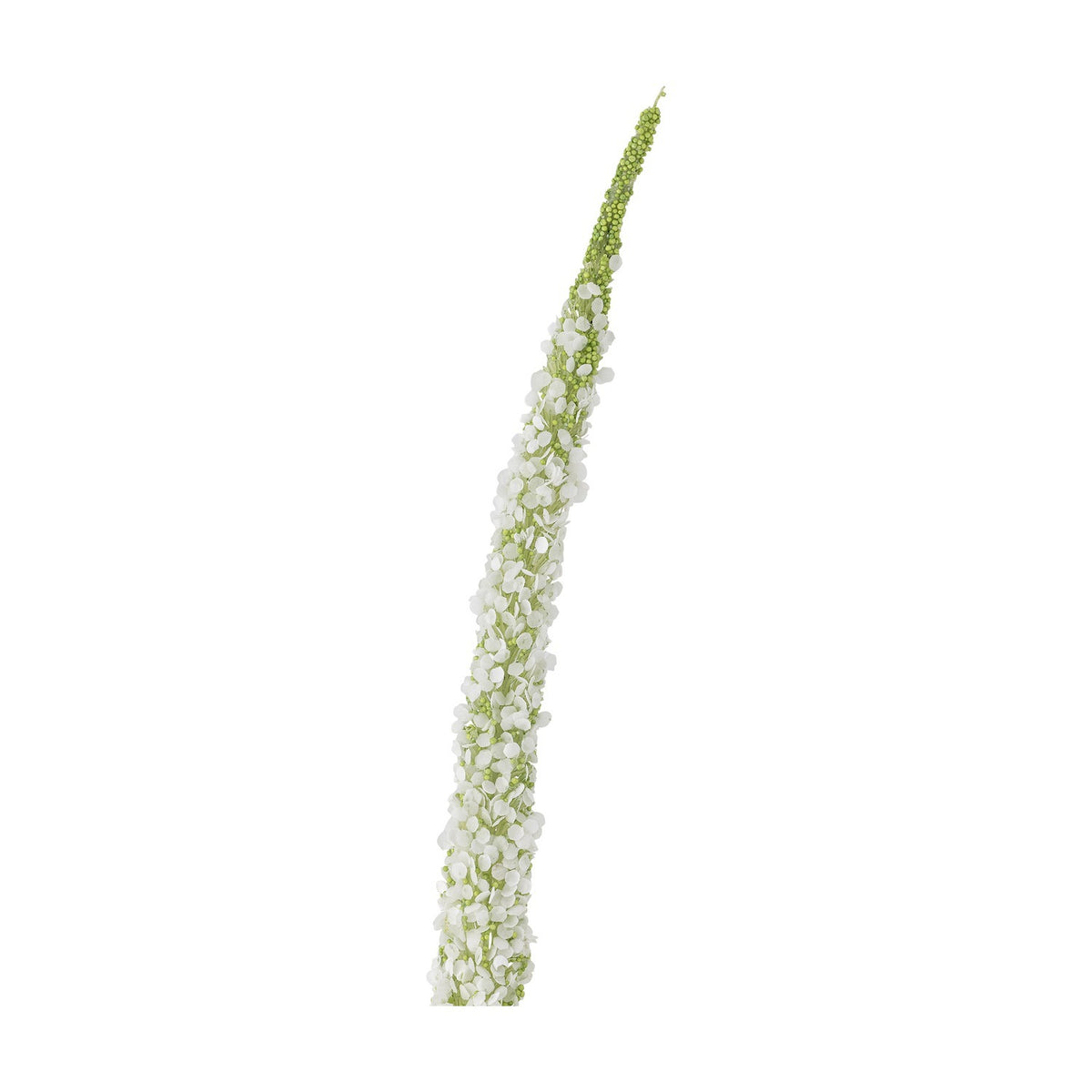 Foxtail Artificial Stem in white, a tall curved spike densely covered in small white florets tapering to a fine bud tip, set on a slim green stem against a plain white background.
