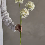 Allium Artificial Stem in white, held by hand, showing three star-floret flowerheads on a green stem against a neutral background.