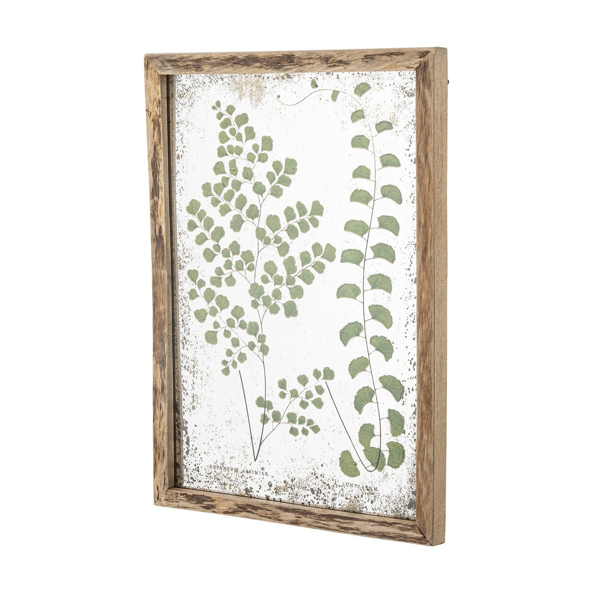 Tipper Wooden Framed Print in Green, showing two botanical fern illustrations on a weathered, speckled background within a rustic wooden frame, shown at an angle against a plain background.