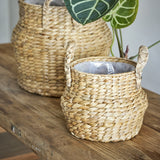 Bjorn Water Hyacinth Baskets Set of 2 in natural braided finish with woven handles, shown on a wooden table beside a potted plant with plastic liners visible inside.