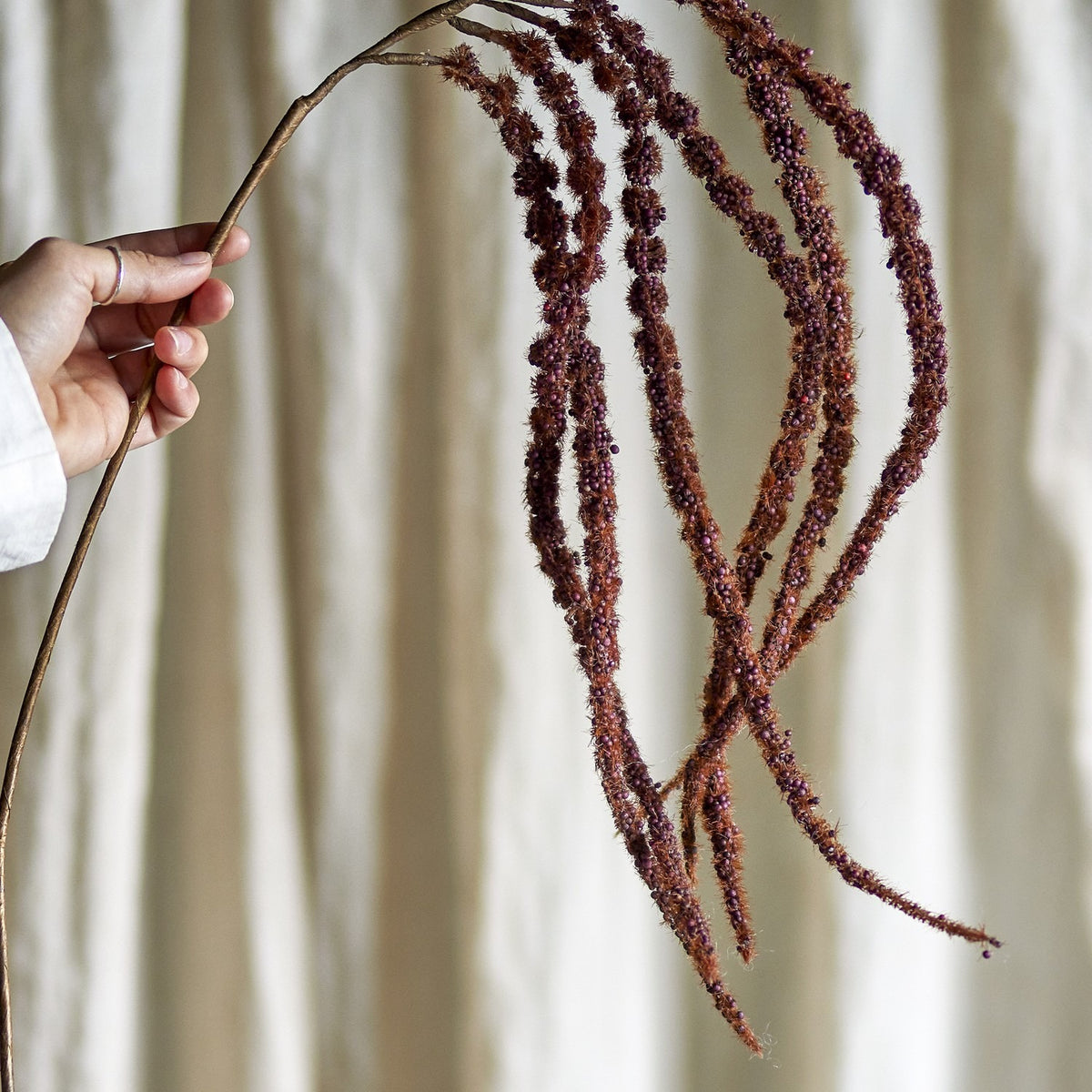 Foxtail Artificial Stem in brown, held by hand to show the arched stem branching into beaded, fibrous trailing tassels, against a neutral curtain background.