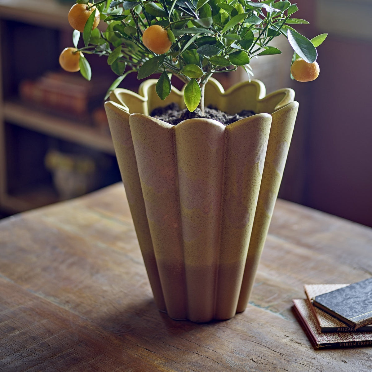 Penn Speckled Stoneware Vase in yellow, 29cm, fluted scalloped rim, holding a potted citrus tree on a wooden table.