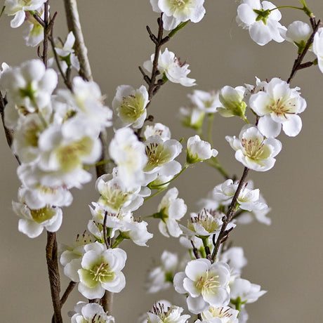 Apple Artificial Branch in white, close-up of slender forking stems with small open blossoms and green centres against a plain neutral background.