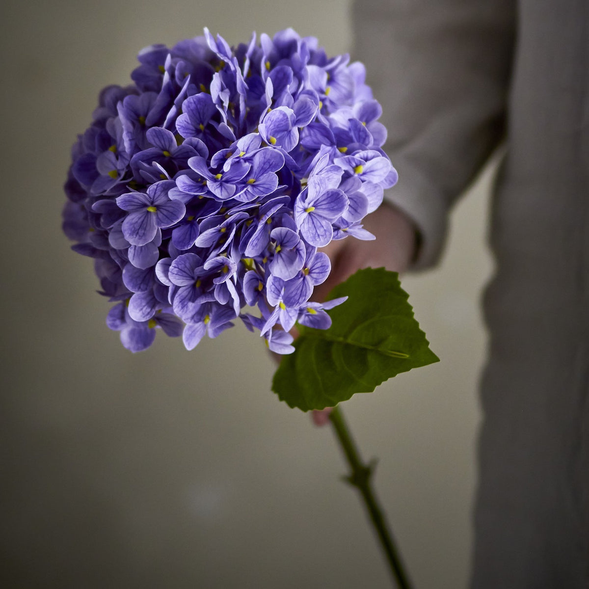 Artificial hydrangea stem, 73cm, with a full purple flowerhead of small four-petalled florets, broad green leaves and a jointed stem, held by hand against a muted background.