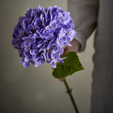 Artificial hydrangea stem, 73cm, with a full purple flowerhead of small four-petalled florets, broad green leaves and a jointed stem, held by hand against a muted background.