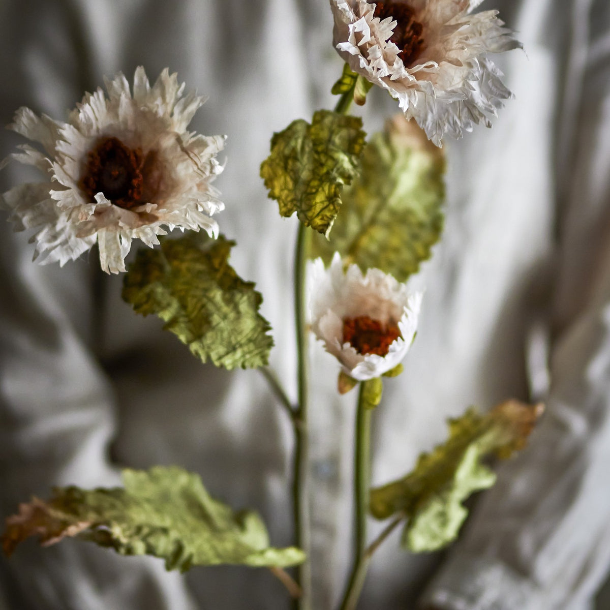 Chrysanthemum Artificial Stem 96cm in White, showing three fringed-petal blooms with rust centres and crinkled green leaves on a branching stem against a soft neutral backdrop.