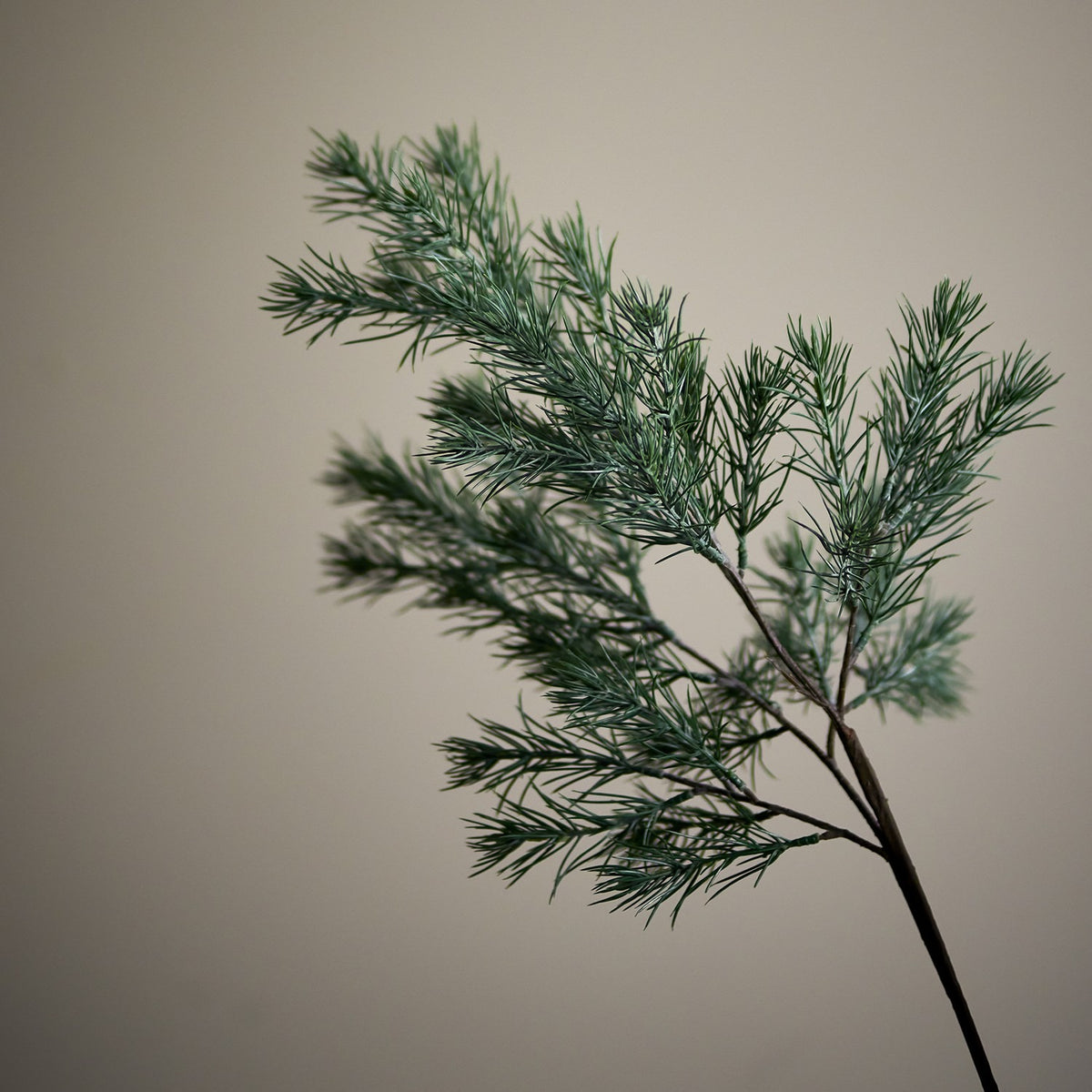 Pine Artificial Christmas Stem 73x15cm - Green