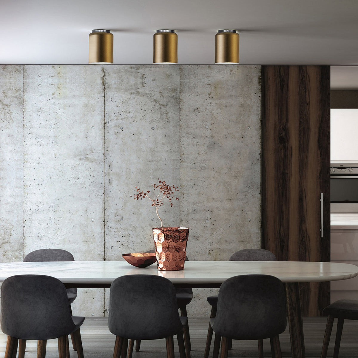 Aspen C17A Brass LED Ceiling Light with three cylindrical brass fixtures mounted in a row on the ceiling above a dining table in a modern dining room.