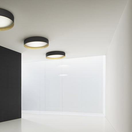 Ginevra 50 Drum LED ceiling lights in matt black with brass inner trim and white diffuser, shown fitted flush to a white ceiling in a modern interior.