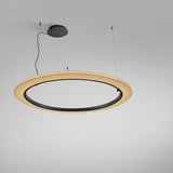 Roda S/150 Ribbon Ring LED pendant light with a large circular pleated white shade around a slim dark inner ring, hung from a black ceiling canopy on a grey background.
