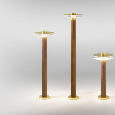 Venexia Glass LED Outdoor Floor Lamps in three heights, each with a slim wood column, round matt brass base and cap, and a clear glass disc head, shown lit on a plain light grey background.