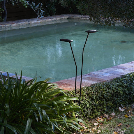 Birdie 2 Light LED Bollard Light in graphite brown, two slim stems with flat heads at different heights beside a garden pool, integrated warm white LED, IP65 outdoor rated.
