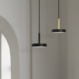 Rafaela Mono LED Drum DALI Pendant in matt black, shown with a shallow drum shade on a slim stem, alongside a similar brass-stemmed pendant against a neutral wall.